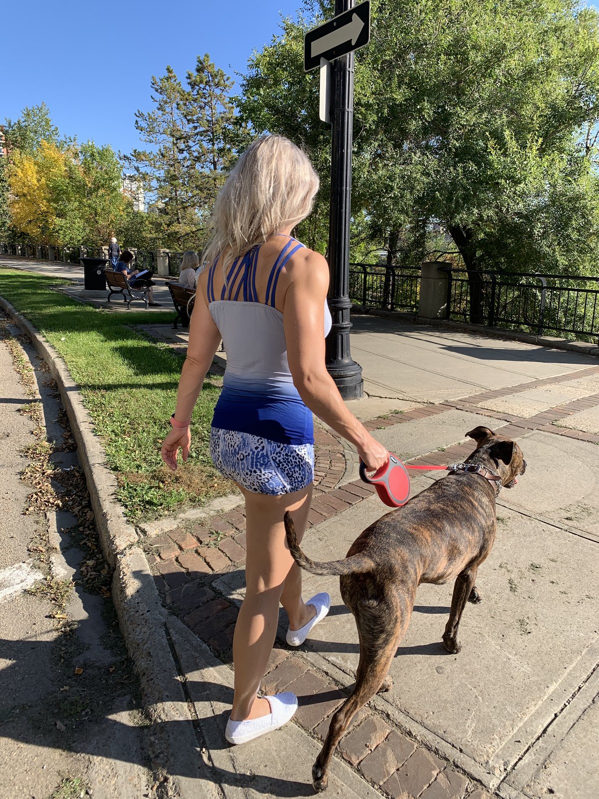 Sanja walking with her dog — Japanese walking interval method blog post